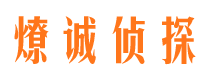 保定资产调查